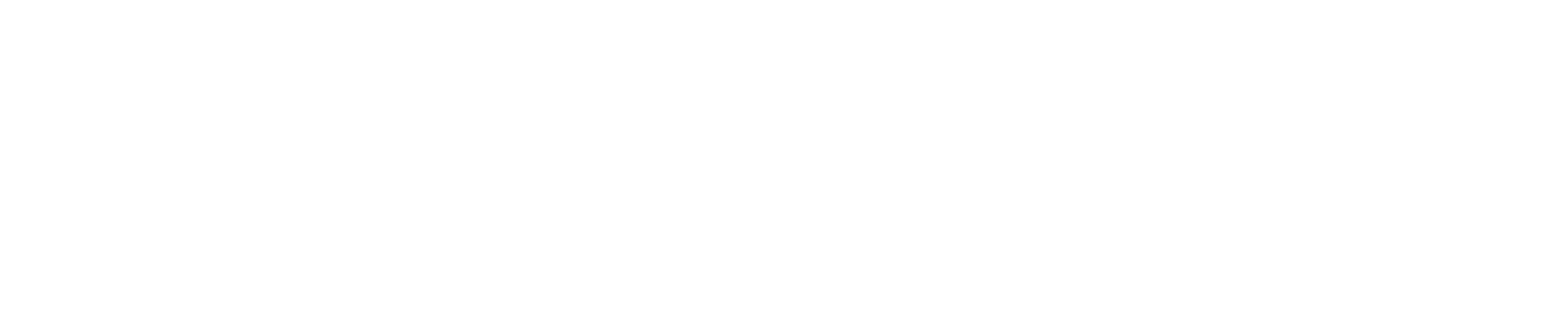 Batista Vida TTS logo
